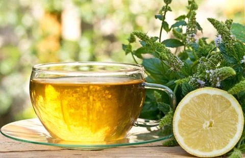 Tea with peppermint Stock Photos