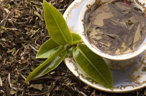 Tea Stock Photos