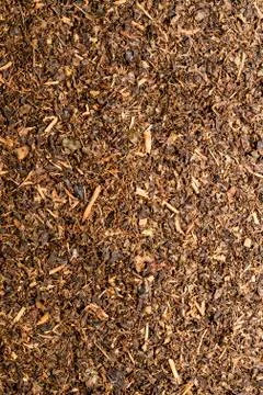 Tea Stock Photos
