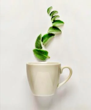 Tea Foto stock
