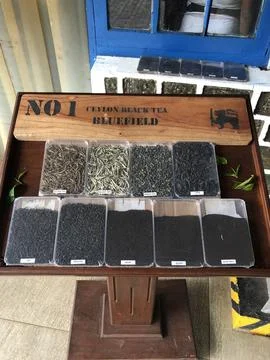 Tea Stock Photos