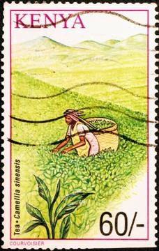 Tea picker on kenyan postage stamp Stock Photos