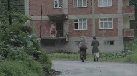 Tea Picking Ladies Stock Footage 48393247