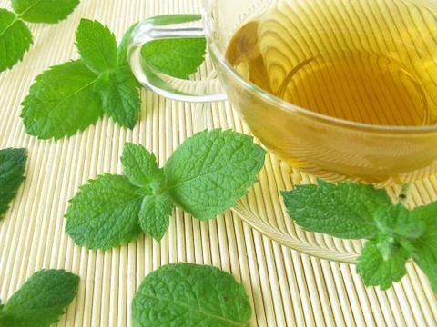 Tea with pineapple mint Stock Photos