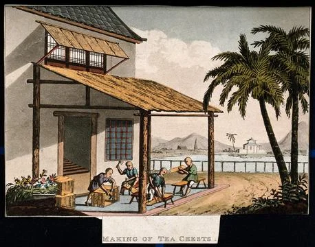 A tea plantation in China: workers make tea chests. Coloured aquatint, earl.. Stock Illustration