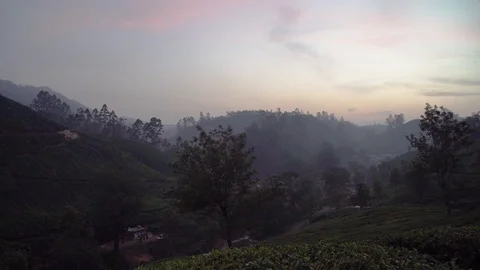 Tea plantation view at sunset hills cloudy sky munnar india kerala Stock Footage 106375392