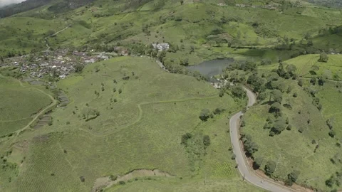 Tea plantation West Java Indonesia Stock Footage 206229585