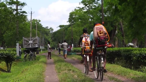 Tea Plantation Workers Carrying Spraying Equipment on Bicycles Video stock 341675905