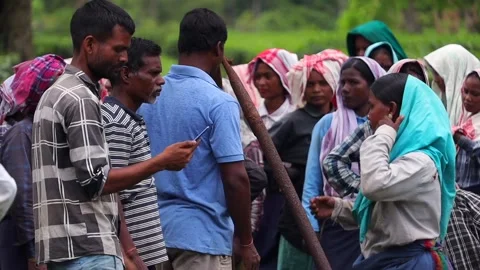 Tea Plantation Workers Gathering During Work Activities Video stock 341674872