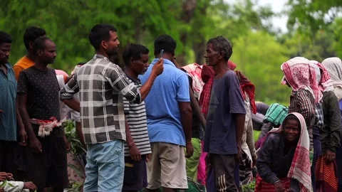 Tea Plantation Workers Gathering During Field Operations Stock Footage 341675312