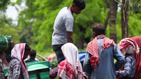 Tea Plantation Workers Taking a Water Break During Harvesting Video stock 341674529