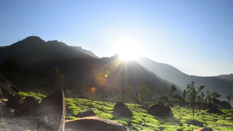 Tea plantations in Munnar Video stock 137419499