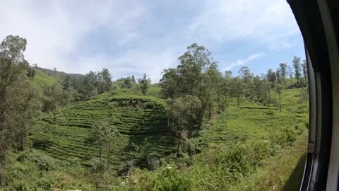 Tea plantations seen from the blue train, Sri Lanka Stock Footage 197055422