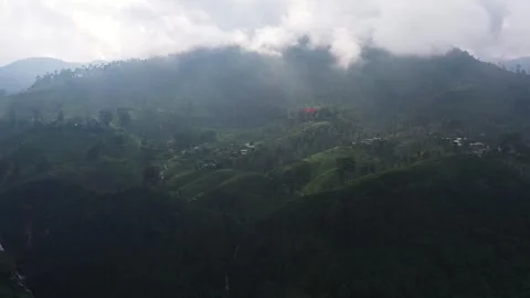 Tea plantations in Sri Lanka. Stockbeeldmateriaal 287978870