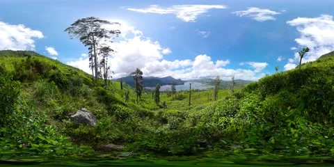 Tea plantations in Sri Lanka. Virtual Reality 360. 8k video. Vidéo 166717296