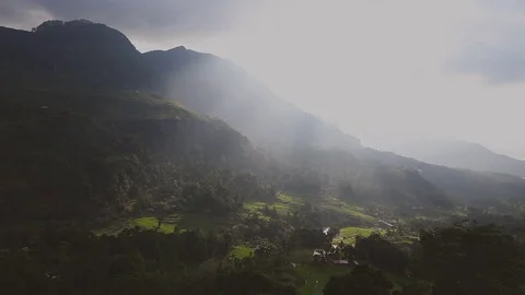 Tea plants in Sri Lanka on background mountain at sunrise Stock Footage 80423427
