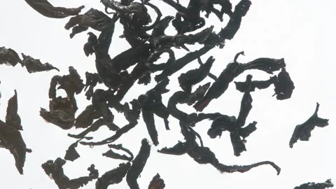 Tea Portion for Brewing 4K Video stock 252394509