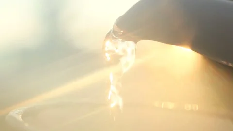 Tea is poured into a cup on the background of the sun Stock Footage 80289091