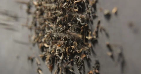 Tea pouring studio 4K pro res vertical view Stock-Footage 274907299