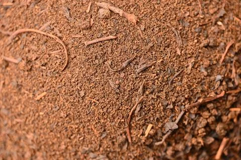 Tea Powder Mixture Texture Background Macro Beverage Photography Stock Photos