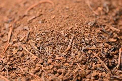 Tea Powder Mixture Texture Background Macro Beverage Photography Stock Photos