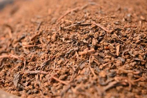 Tea Powder Mixture Texture Background Macro Beverage Photography Stock Photos