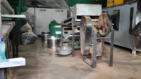 A Tea Processing Facility Stock Footage 197370205