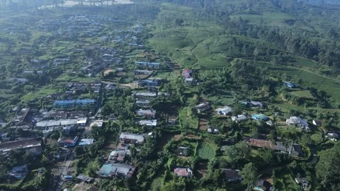 Tea producing valley with estate housing Stock Footage 296930786