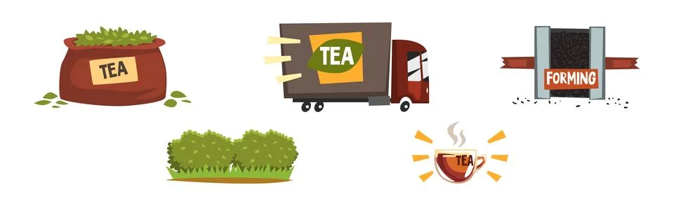 Tea Production and Process with Growing and Distribution Vector Set Stock Illustration
