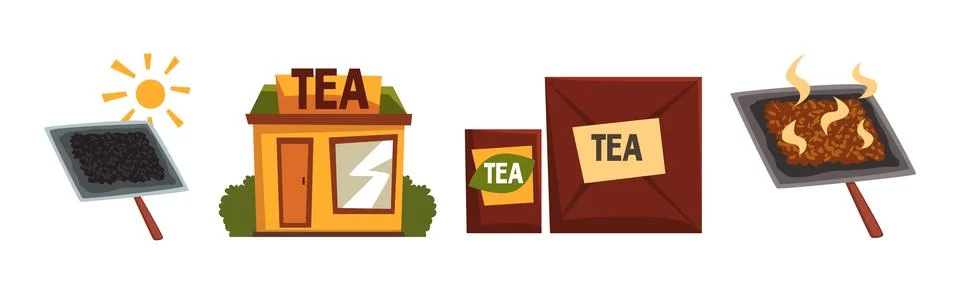 Tea Production and Process with Growing and Distribution Vector Set Stock Illustration