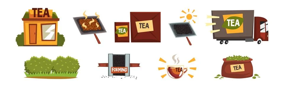 Tea Production and Process with Growing and Distribution Vector Set Stock Illustration