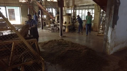 Tea production in India. Inside the factory with machinery and workers Stock Footage 123476453
