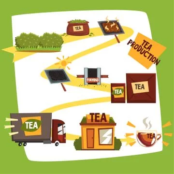 Tea production, tea manufacturing process from plantation to shop cartoon vector Ilustración de archivo