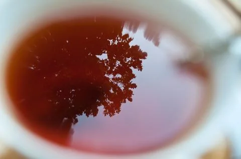 Tea reflection Stock Photos