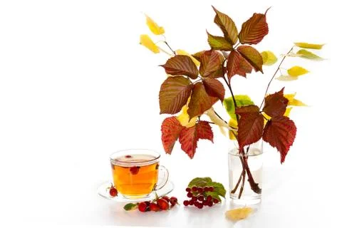 Tea with rosehip Stock Photos