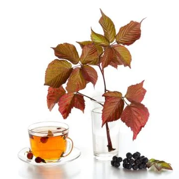 Tea with rosehip Foto stock
