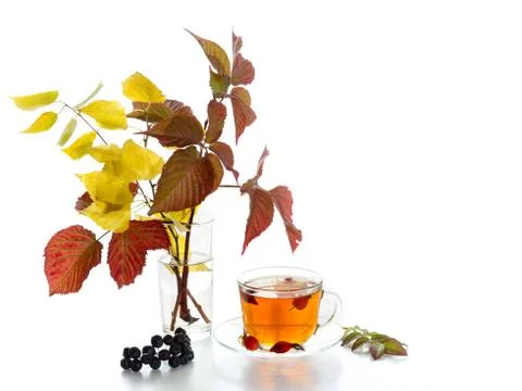 Tea with rosehip Stock Photos