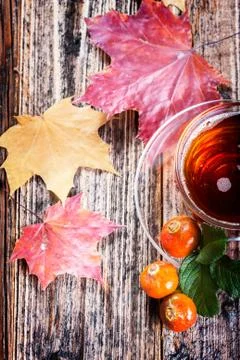 Tea with rosehip Stock Photos
