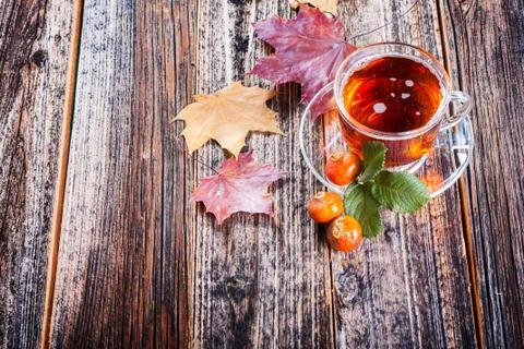 Tea with rosehip Stock Photos