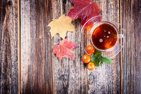 Tea with rosehip Stock Photos