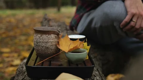 Tea set for chinese tea ceremony in autumn park. Stock Footage 220415423