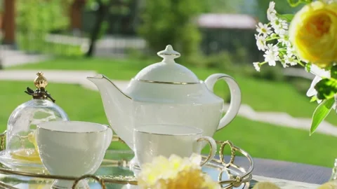 Tea set on garden table with green lawn background Stock Footage 335865576