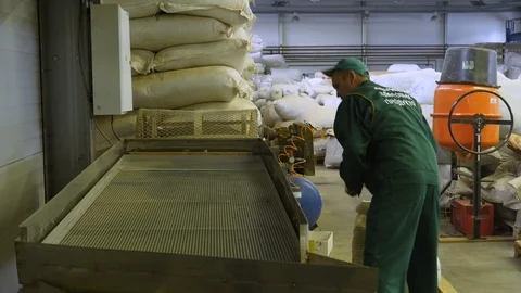Tea sheets are readout at the factory Stock Footage 127469739
