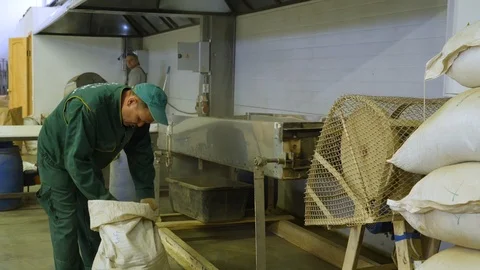 Tea sheets are readout at the factory Stock Footage 127469768
