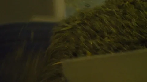 Tea sheets are readout at the factory Stock Footage 127469833