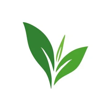 Tea Shoots Illustrazione stock