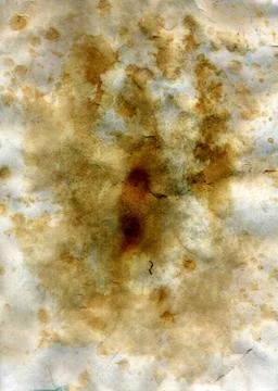 Tea Stains on the Paper Stock Photos