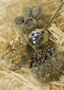 Tea-strainer and tree kinds of tea Stock Photos