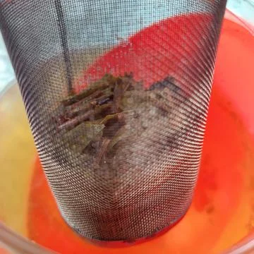 A tea strainer in the form of a wire mesh inside the teapot Stock Photos