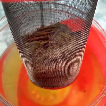 A tea strainer in the form of a wire mesh inside the teapot Stock Photos